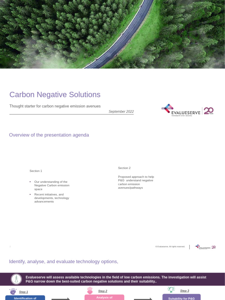 Thought Starter - Negative Carbon Emissions | PDF