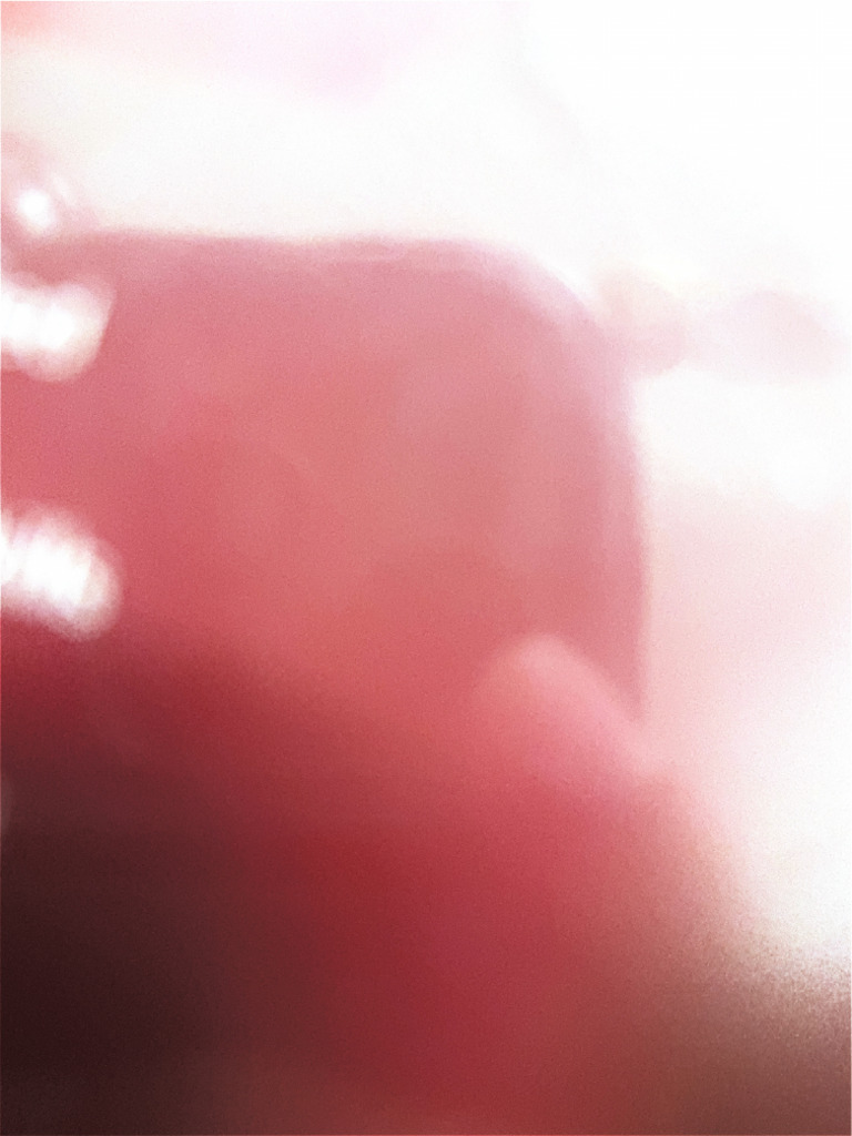 Scanned Document 5 | PDF