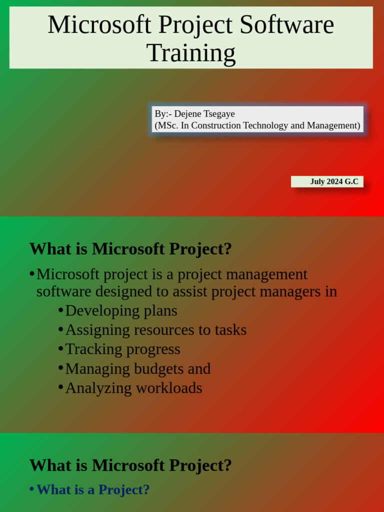 Ms Project Training