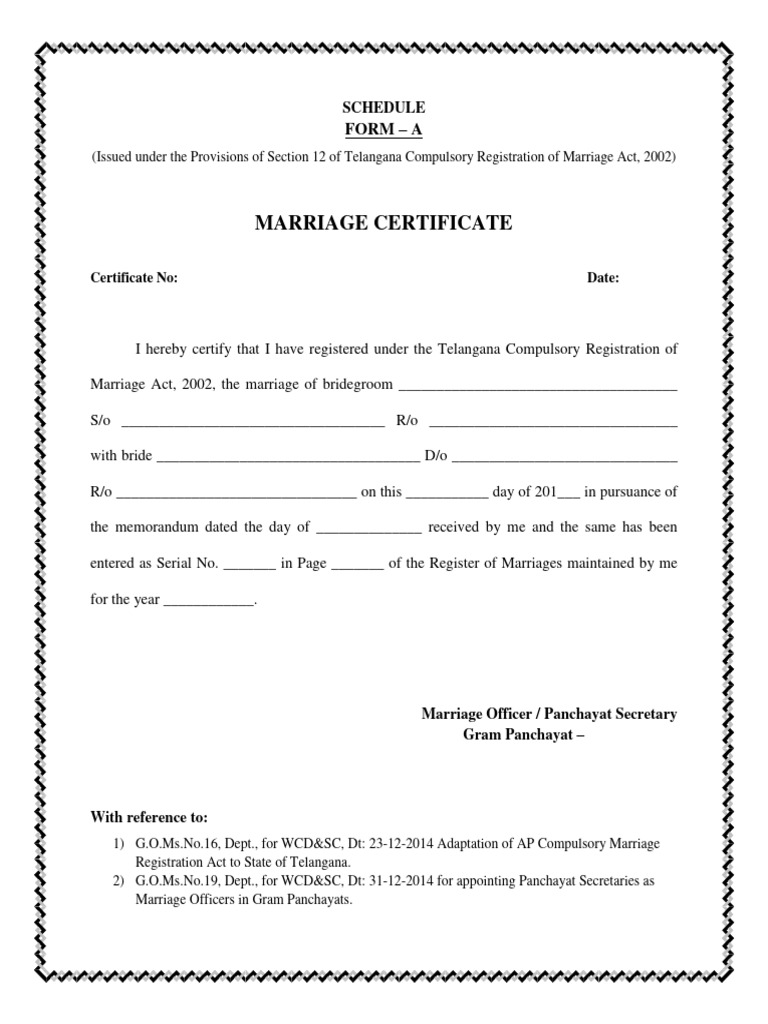 BIRTH CERTIFICATE FORM GRAM PANCHAYAT MAHARASHTRA PDF visual data 6