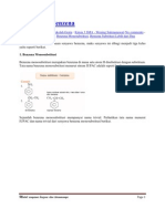 Modul Benzena