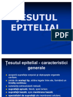 Epitelial 1