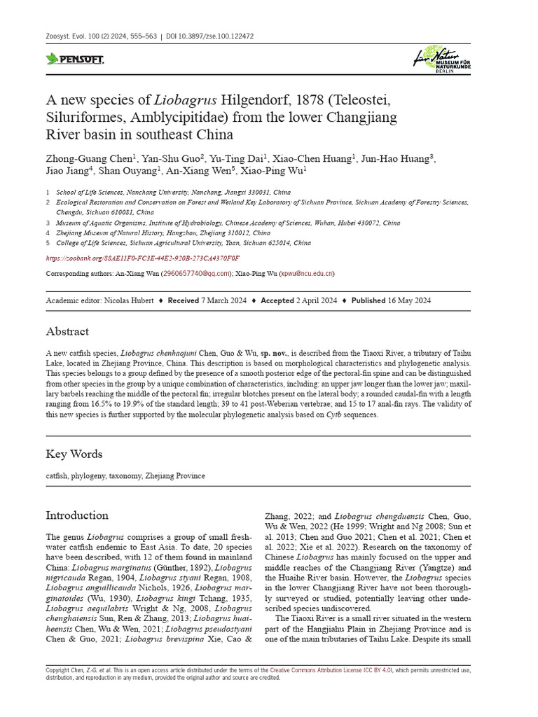 New Catfish Species Liobagrus chenhaojuni | PDF