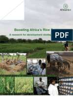 Boosting Africa’s Rice Sector