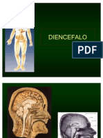 Diencefalo y sus estructuras