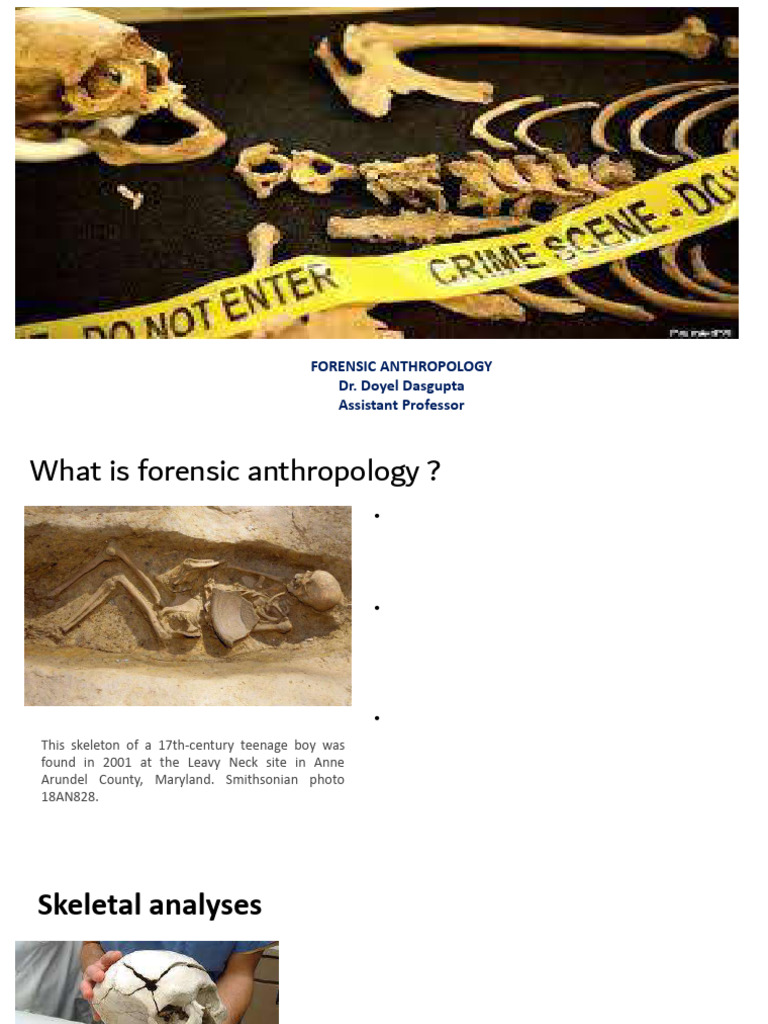 Forensic Anthropology_Principal and methods_pdf | PDF | Pelvis