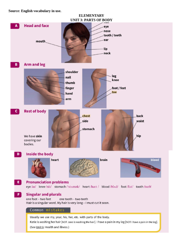 Health | PDF