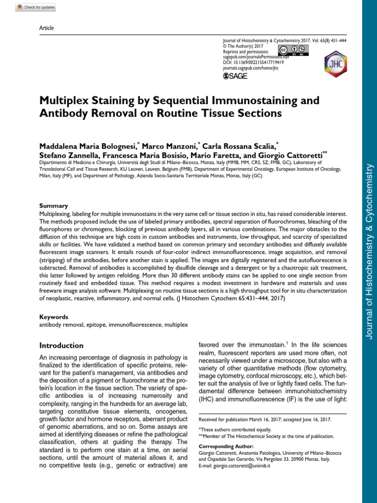 Multiplex Staining by Sequential Immunostaining and Antibody Removal On ...