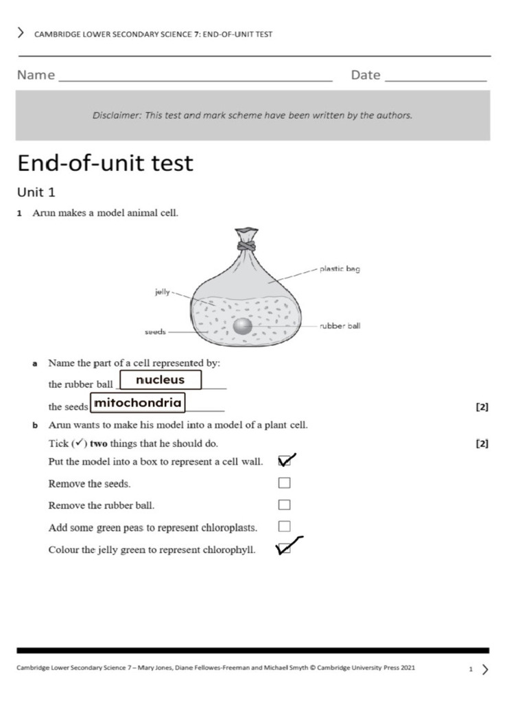 Science Answers 3 | PDF