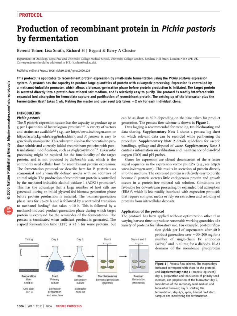 Recombinant Protein in P. pastoris | PDF | Proteins | Gene Expression