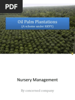 Oil Palm - Life Stages