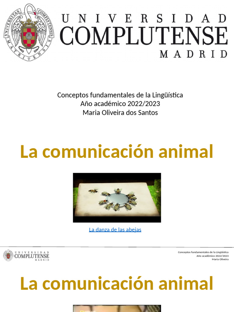 Clase 4 Tema 2 Lenguaje Animal Y Humano Pdf Educación En Artes