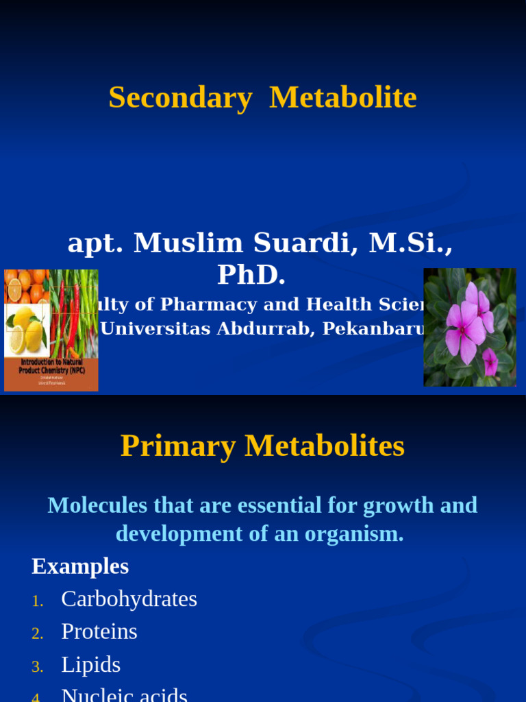 Overview of Plant Secondary Metabolites | PDF | Plants