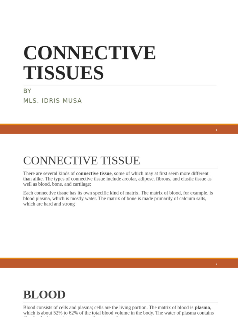 Connective Tissues | PDF | Connective Tissue | Bone