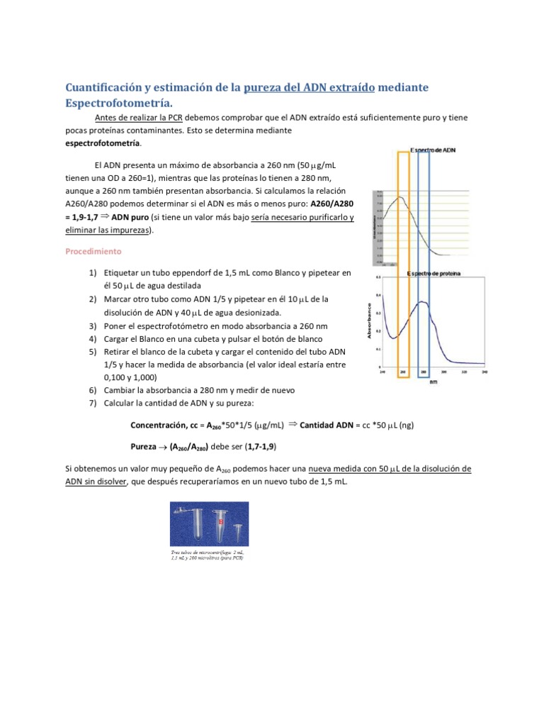 Cuantificación y Pureza del ADN por