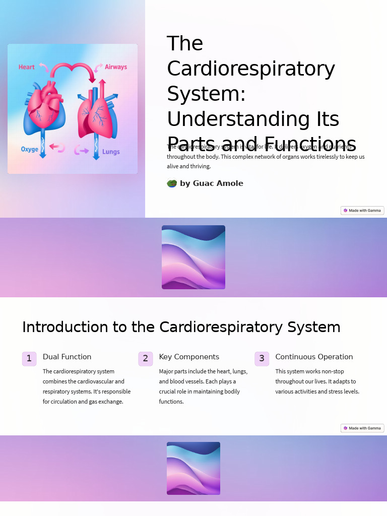 Cardiorespiratory System Functions Explained | PDF | Heart | Lung