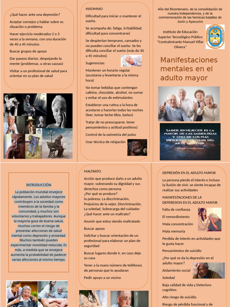 Adulto Mayor, Salud Mental | PDF | Vejez | Depresión (estado de ánimo)