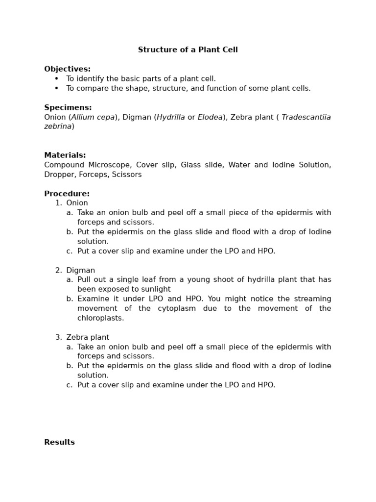 Plant Cell Structure and Microscopy | PDF