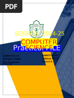 PDF Document
