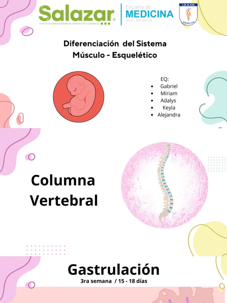 Embrio | PDF