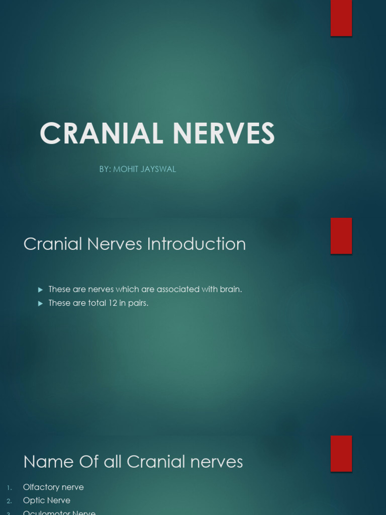 Overview of Cranial Nerves and Functions | PDF | Senses | Neuroscience