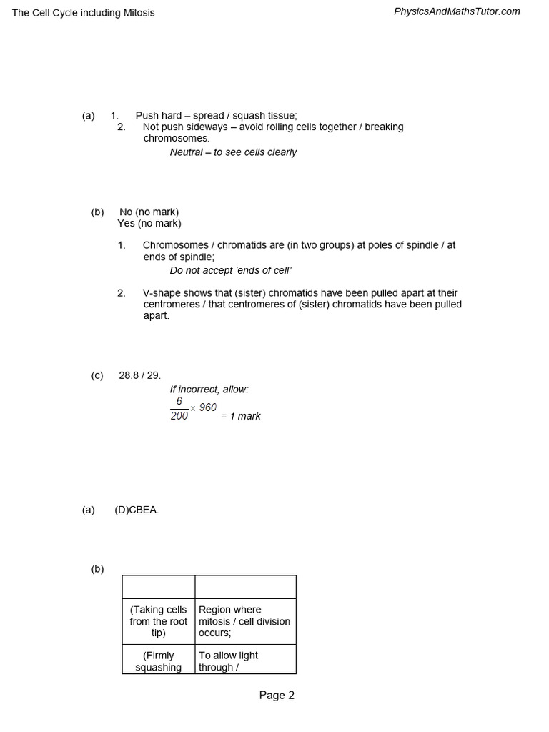 2.2 The Cell Cycle Including Mitosis MS | PDF | Mitosis | Chromosome