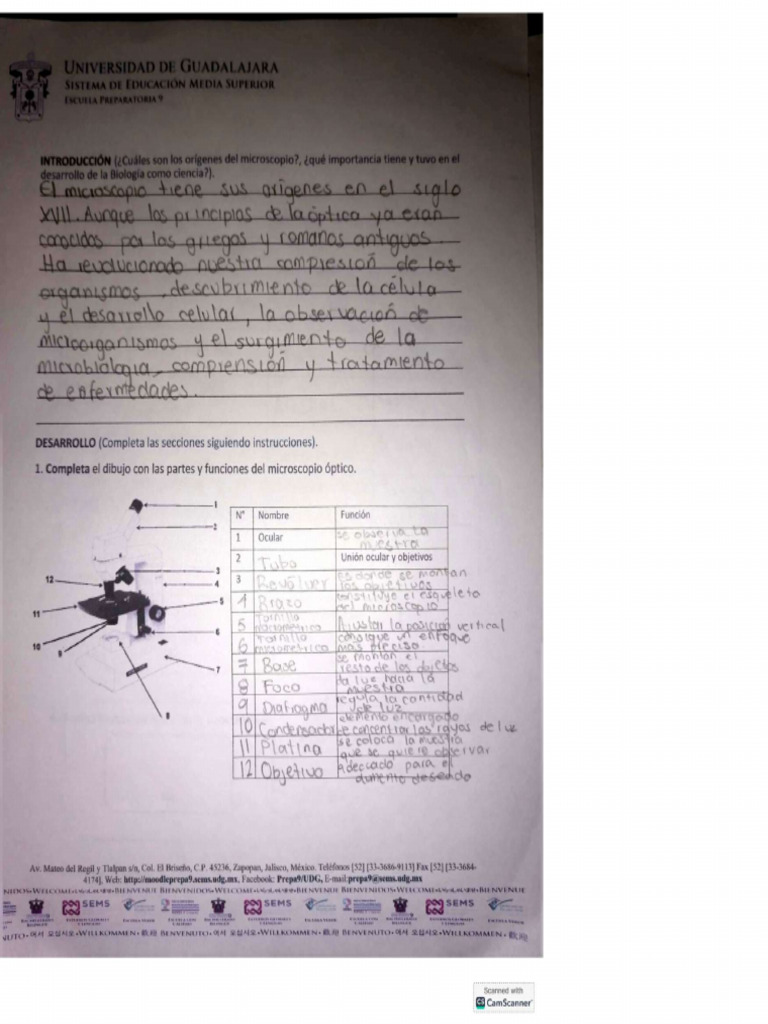 Práctica De Laboratorio Pdf