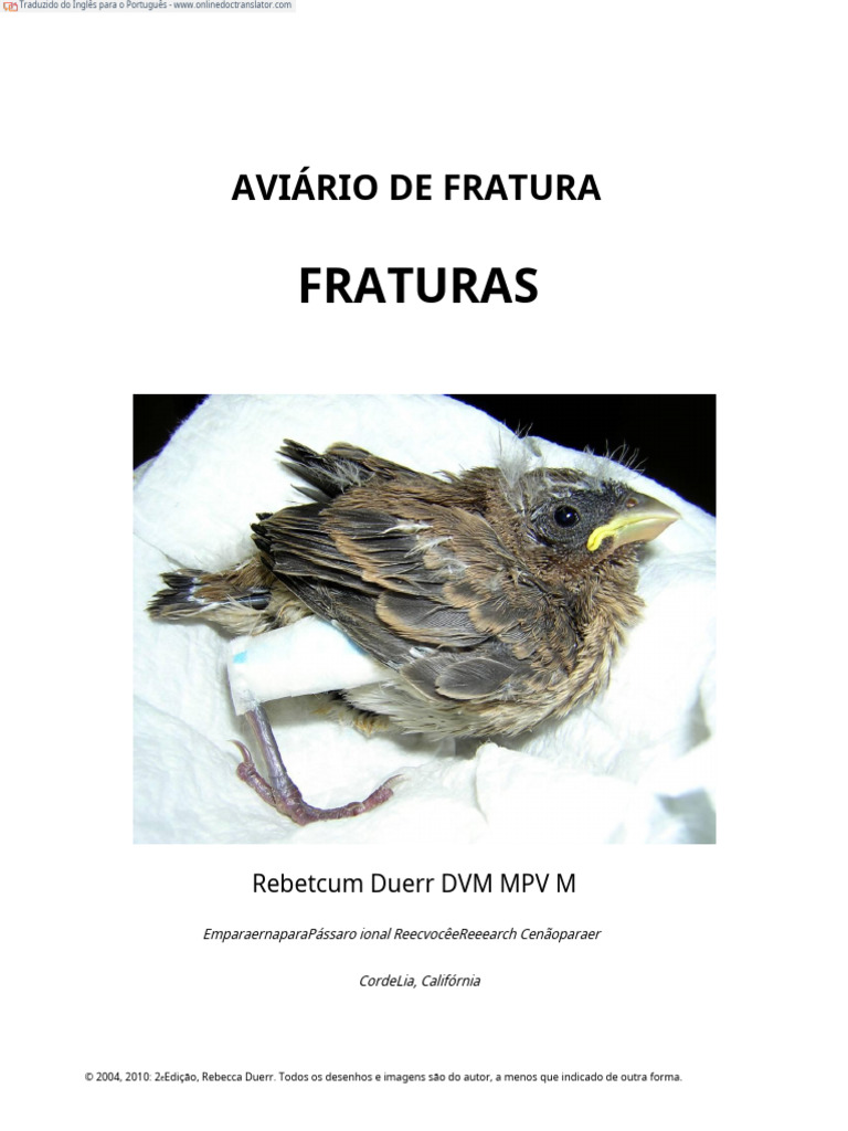 Manual de Bandagens para Fraturas. Aves Traduzido PDF | PDF | Aves | Gatos, image size:768x1024