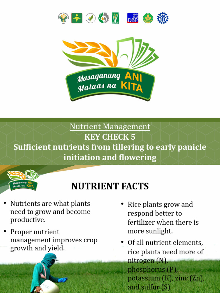 10 KeyCheck 5.pptx | PDF | Plant Nutrition | Fertilizer