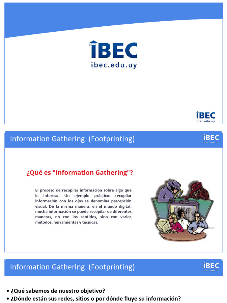 02 Recabar Informacion | PDF | Dirección IP | Servidor (Computación)