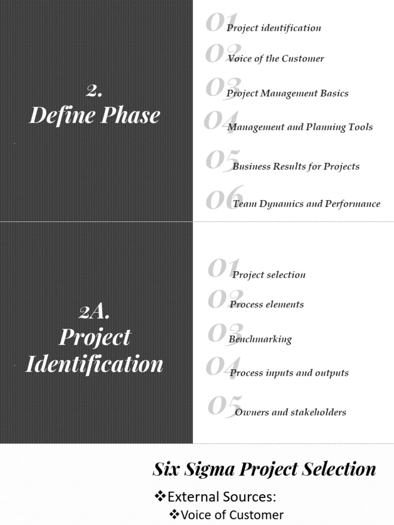 Six Sigma Project Management Essentials | PDF | Risk | Business