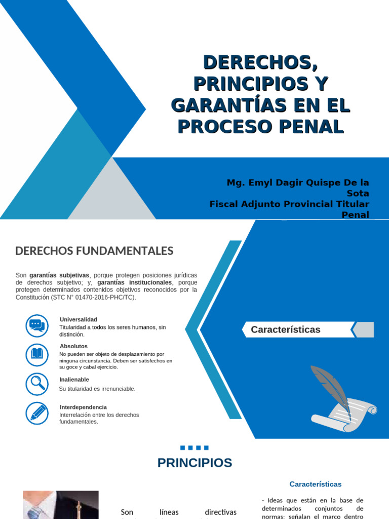 Derechos y Garantías en el Proceso Penal | PDF | Debido al proceso ...