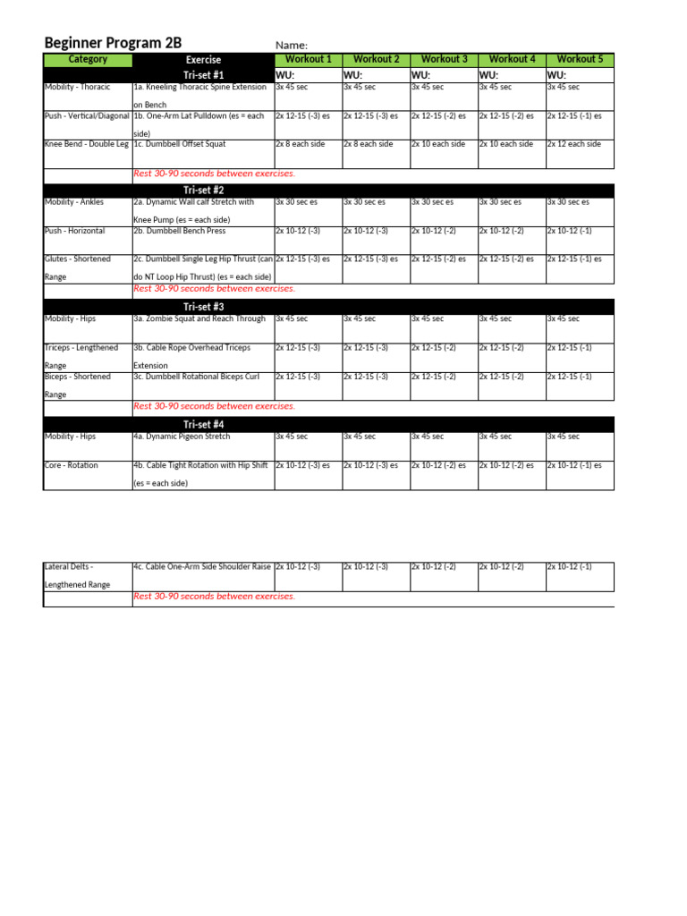 PPDM-Beginner-Program-2B-PRINT-FINAL | PDF | Musculoskeletal System ...