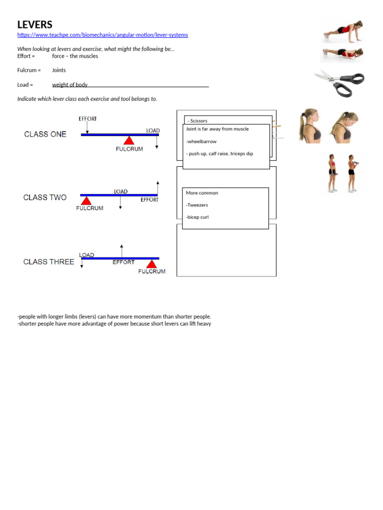Lever Systems in Exercise and Biomechanics | PDF
