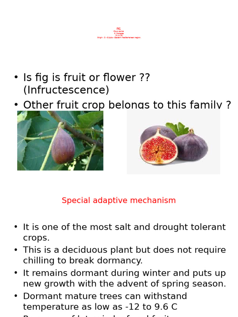 Fig 5 7 23 | PDF | Ficus | Pruning