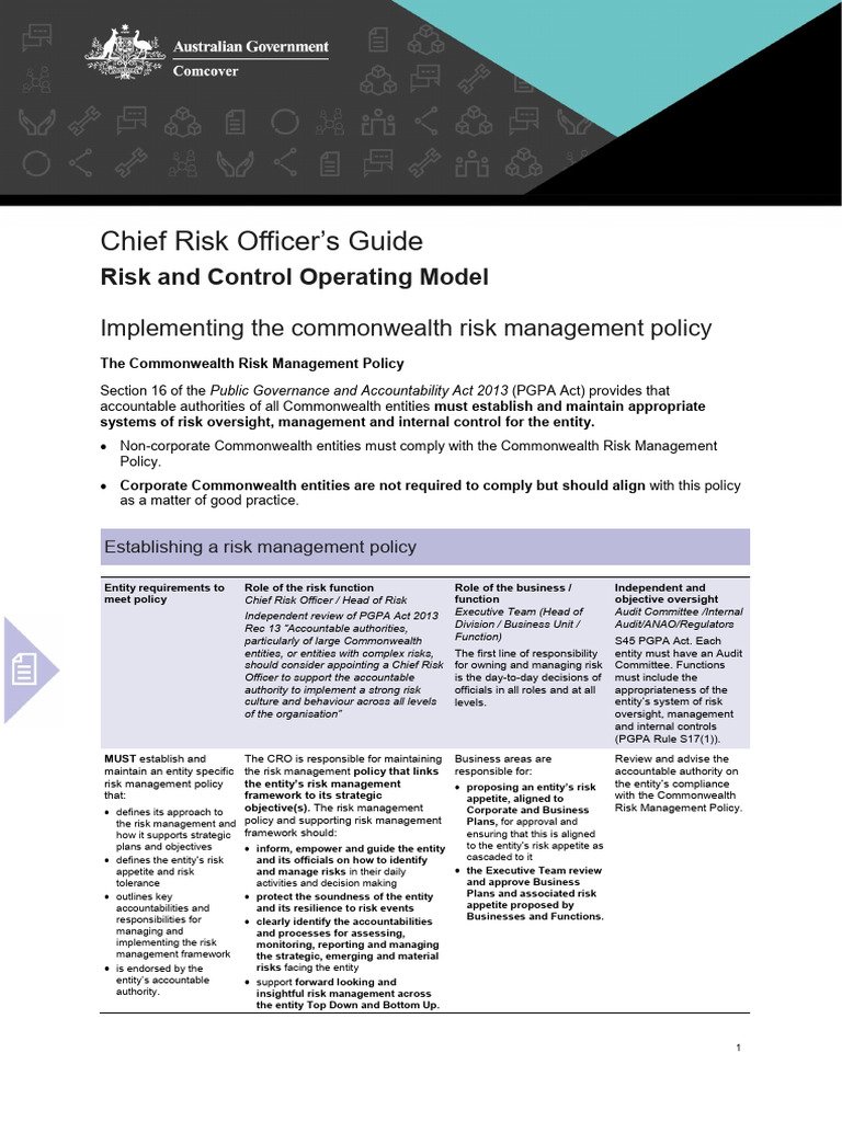 Chief Risk Officer's Implementation Guide | PDF | Internal Control | Risk