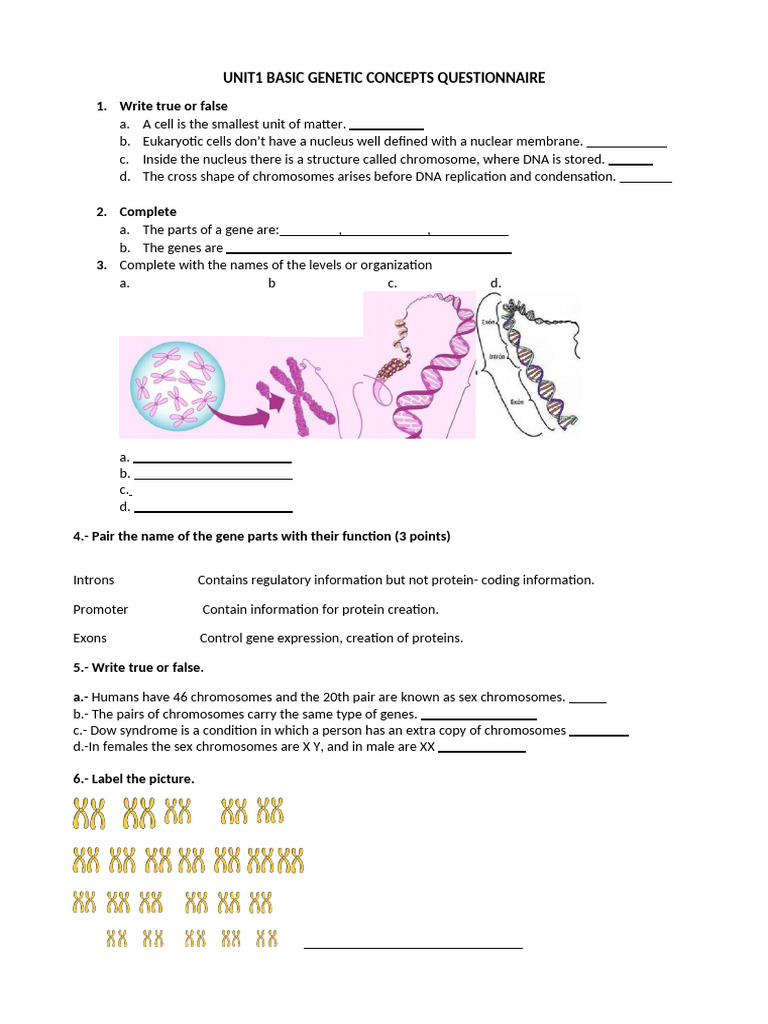 Unit 1.3 Basic Genetic Concept Questionnaire | PDF