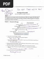 Photosynthesis POGIL Answer Key | PDF | Photosynthesis | Chloroplast