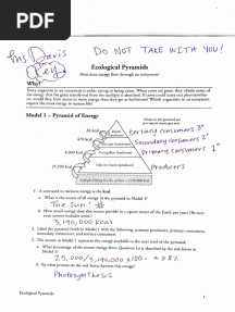 Ecological Pyramids Pogil Key
