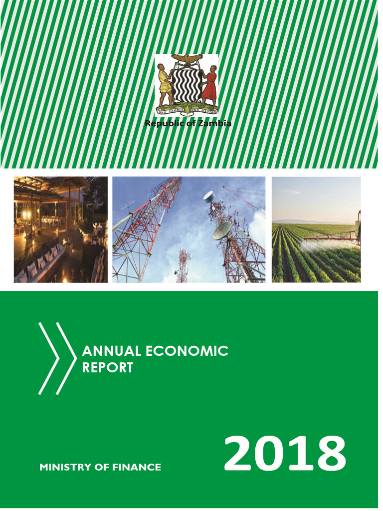 2018 Annual Economic Report | PDF | Government Debt | Debt