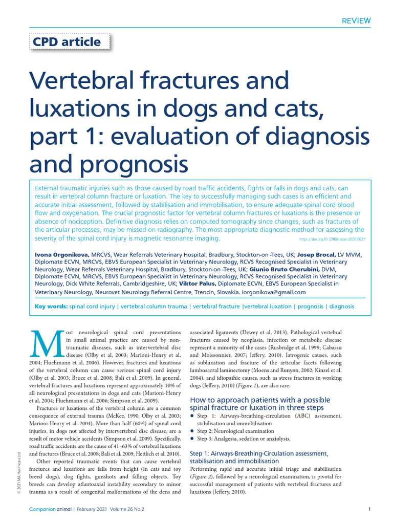 Spinal And Vertebral Birth Defects In Cats – OVPAJR