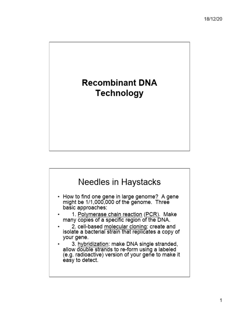 Recombinant DNA Techniques Explained | PDF | Vector (Molecular Biology ...