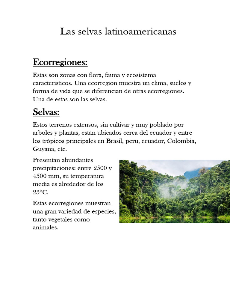 Selvas de Latinoamérica: Ecorregiones y Biodiversidad | PDF | Selva ...