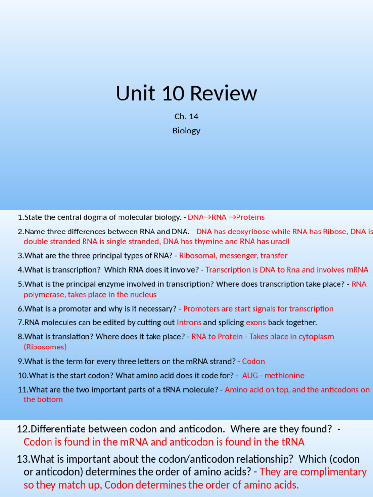 Review Materials | PDF | Rna | Genetic Code