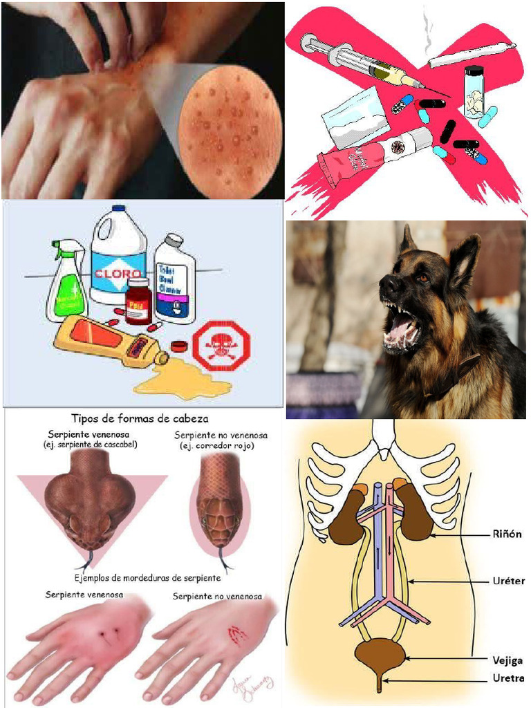 Imprimi 3 | PDF