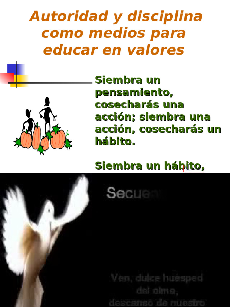 Autoridad y Disciplina Como Medios para Educar en Valores | PDF ...