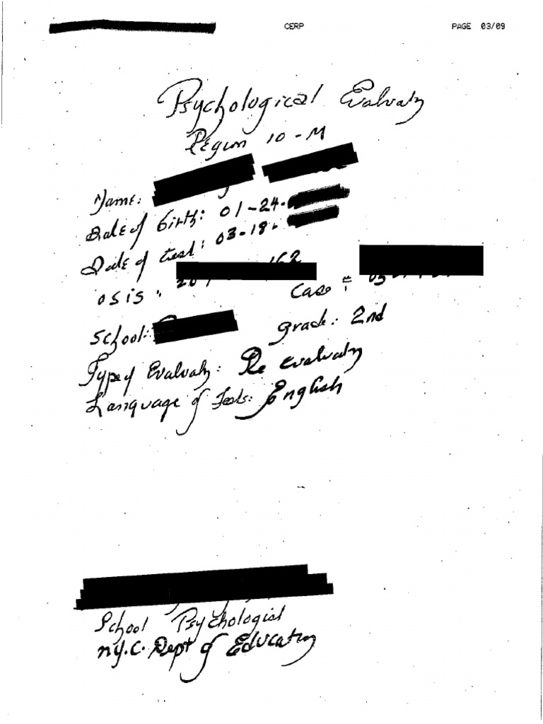 handwritten report | PDF