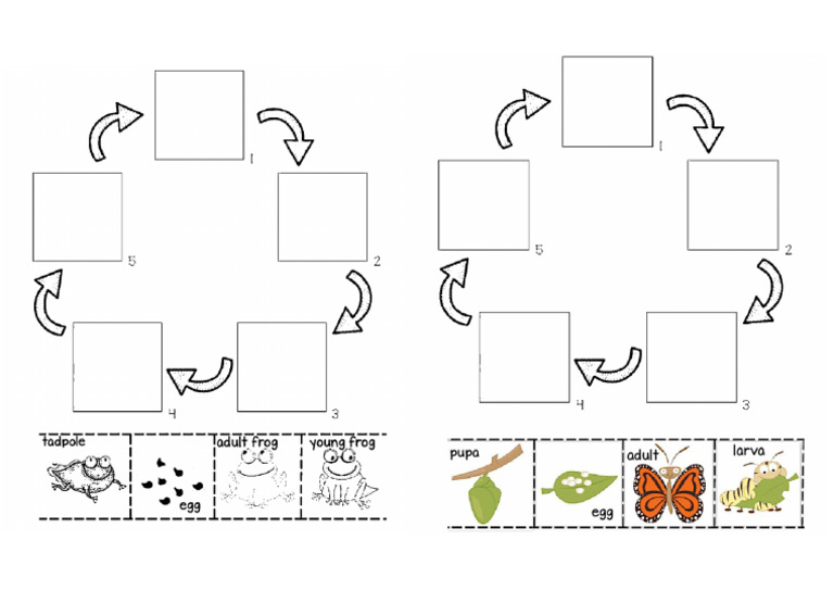 Cycle | PDF