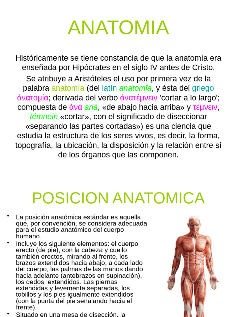 ANATOMIA PDF LIBRO visual data 4