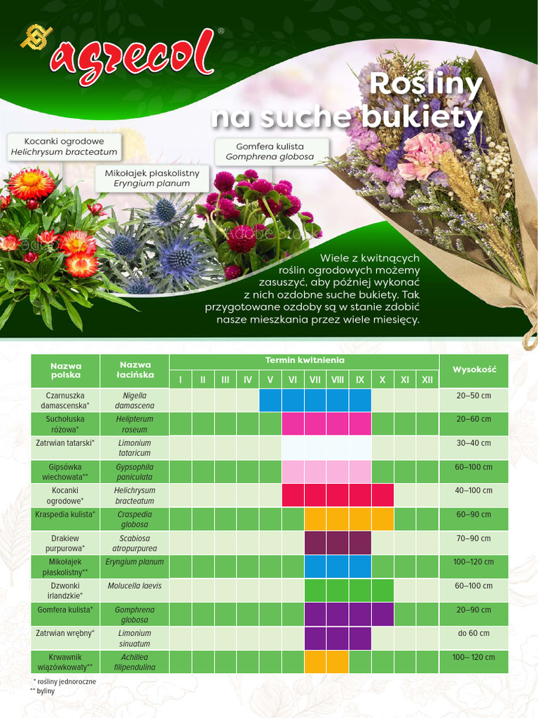 rosliny-na-suche-bukiety-pdf